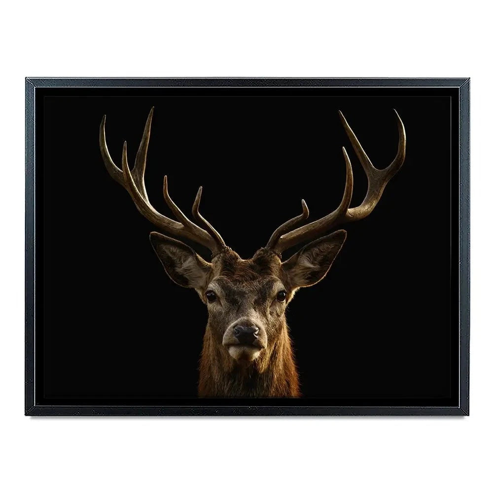 Deer Canvas Print Deer Canvas Print wall art product Brais Seara / Shutterstock