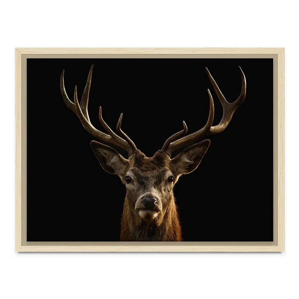 Deer Canvas Print Deer Canvas Print wall art product Brais Seara / Shutterstock