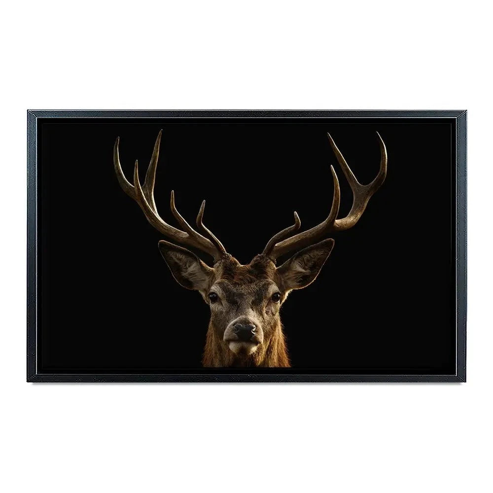 Deer Canvas Print Deer Canvas Print wall art product Brais Seara / Shutterstock