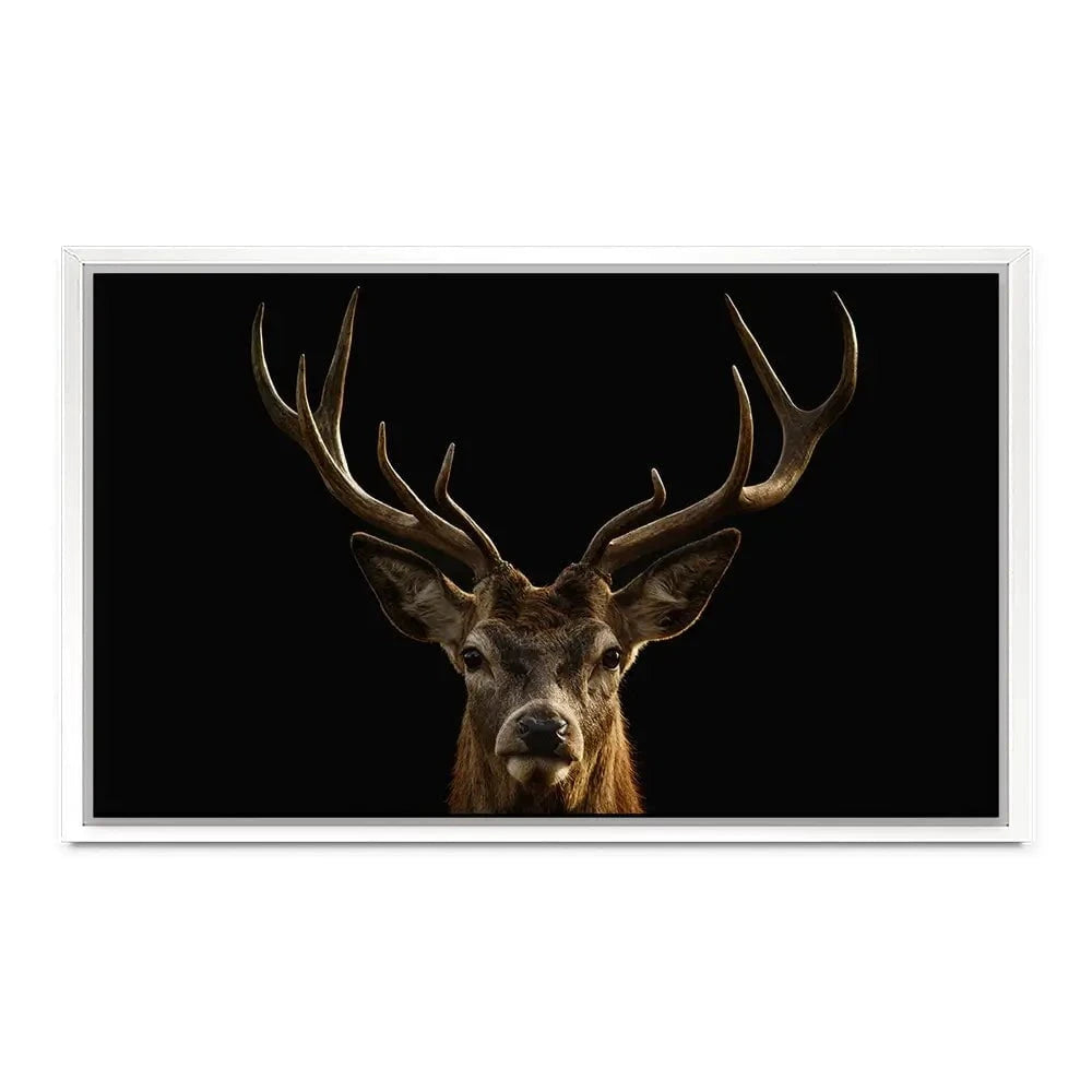 Deer Canvas Print Deer Canvas Print wall art product Brais Seara / Shutterstock