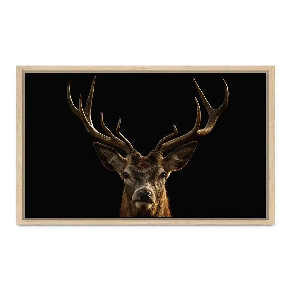 Deer Canvas Print Deer Canvas Print wall art product Brais Seara / Shutterstock