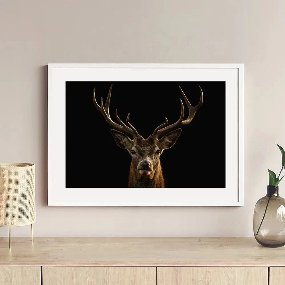 Deer Framed Art Print Deer Framed Art Print wall art product Brais Seara / Shutterstock