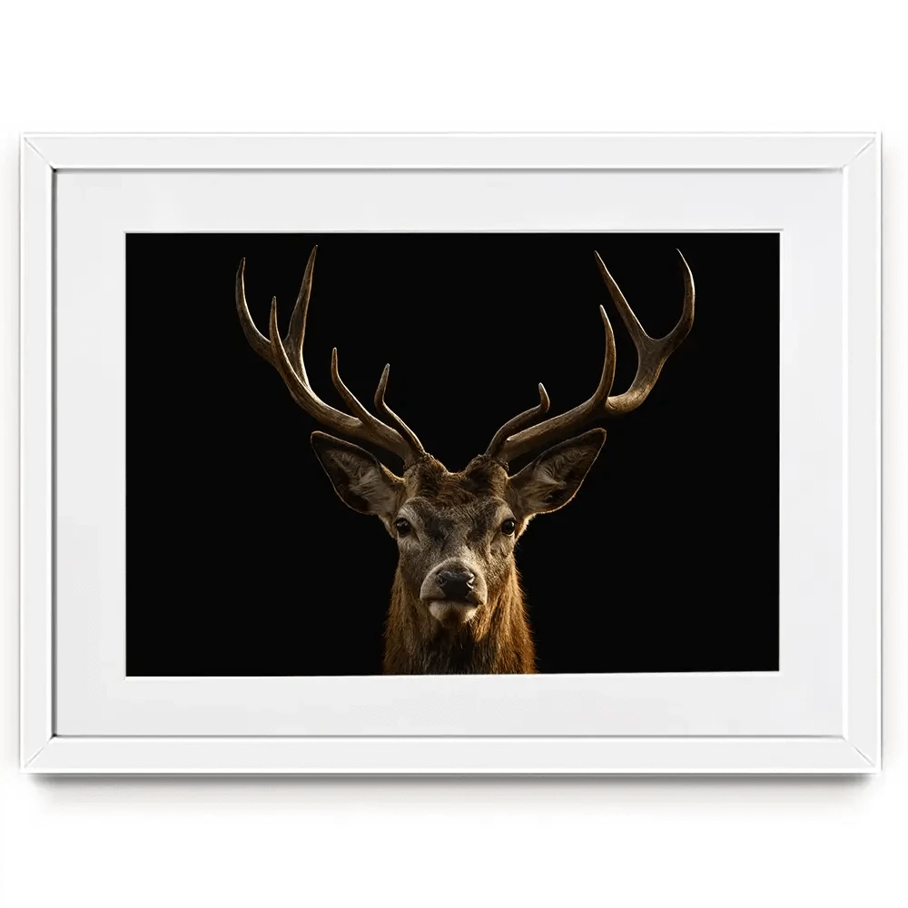 Deer Framed Art Print Deer Framed Art Print wall art product Brais Seara / Shutterstock