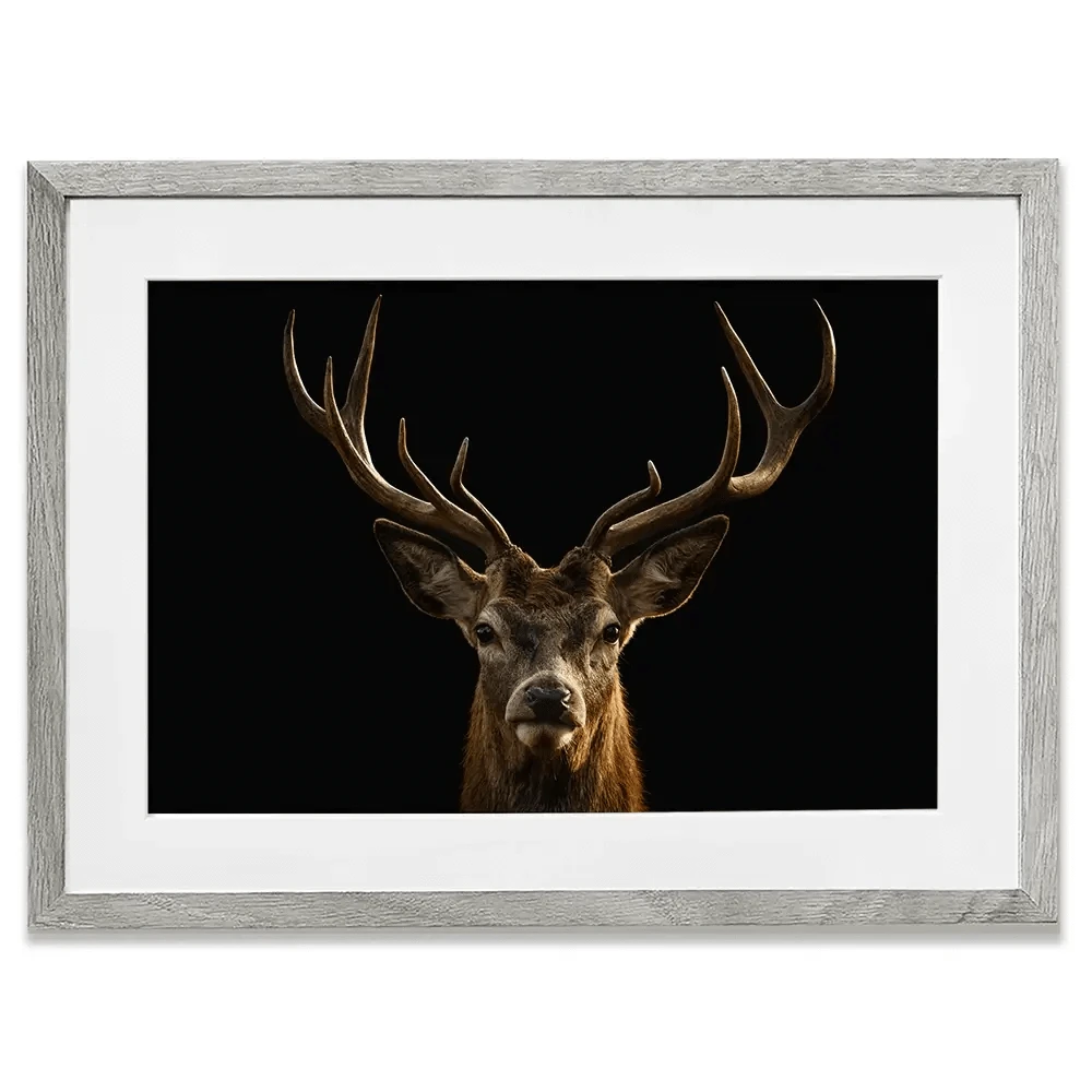 Deer Framed Art Print Deer Framed Art Print wall art product Brais Seara / Shutterstock