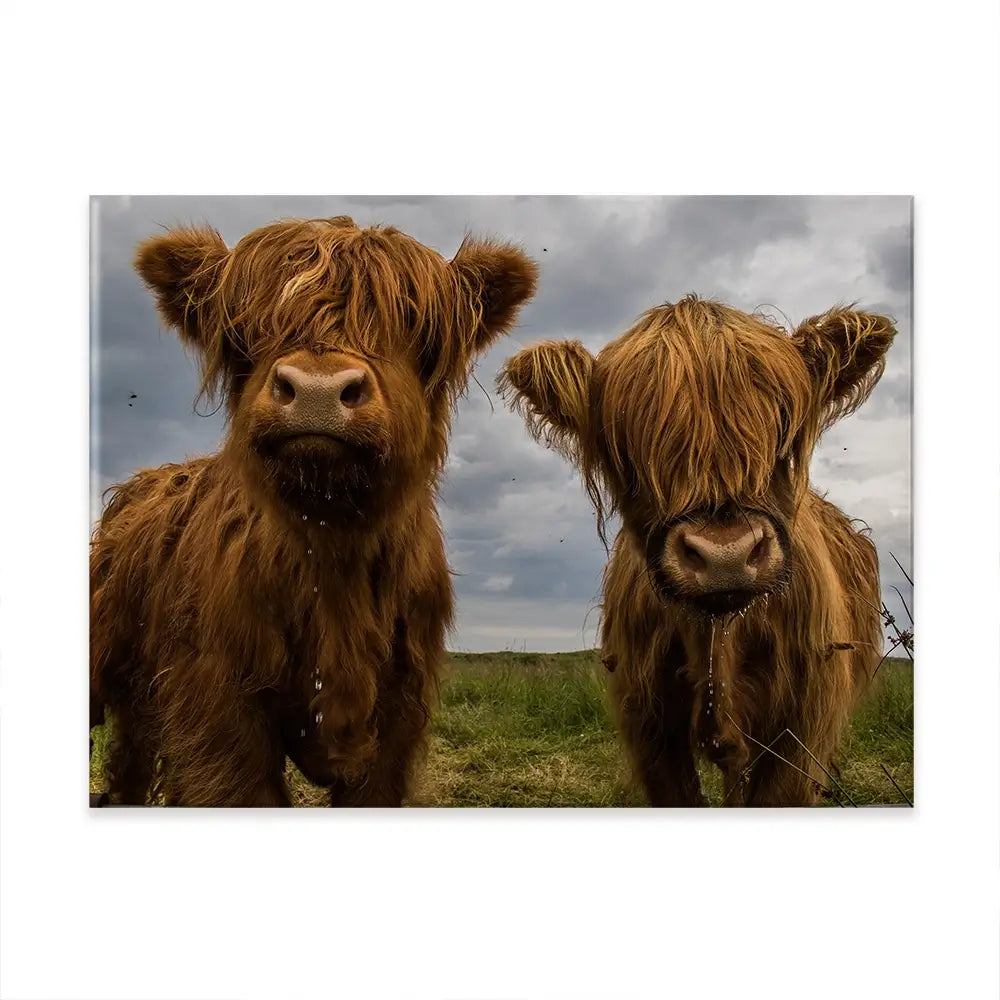 Double Trouble Canvas Print Double Trouble Canvas Print wall art product JCurrie / Shutterstock