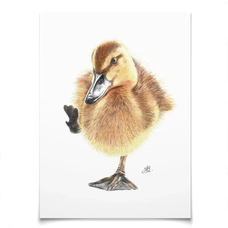 Duck Illustration Art Print Duck Illustration Art Print wall art product Jackie Bridges