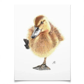 Duck Illustration Art Print Duck Illustration Art Print wall art product Jackie Bridges