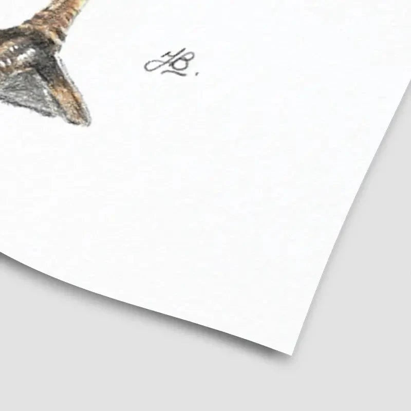 Duck Illustration Art Print Duck Illustration Art Print wall art product Jackie Bridges