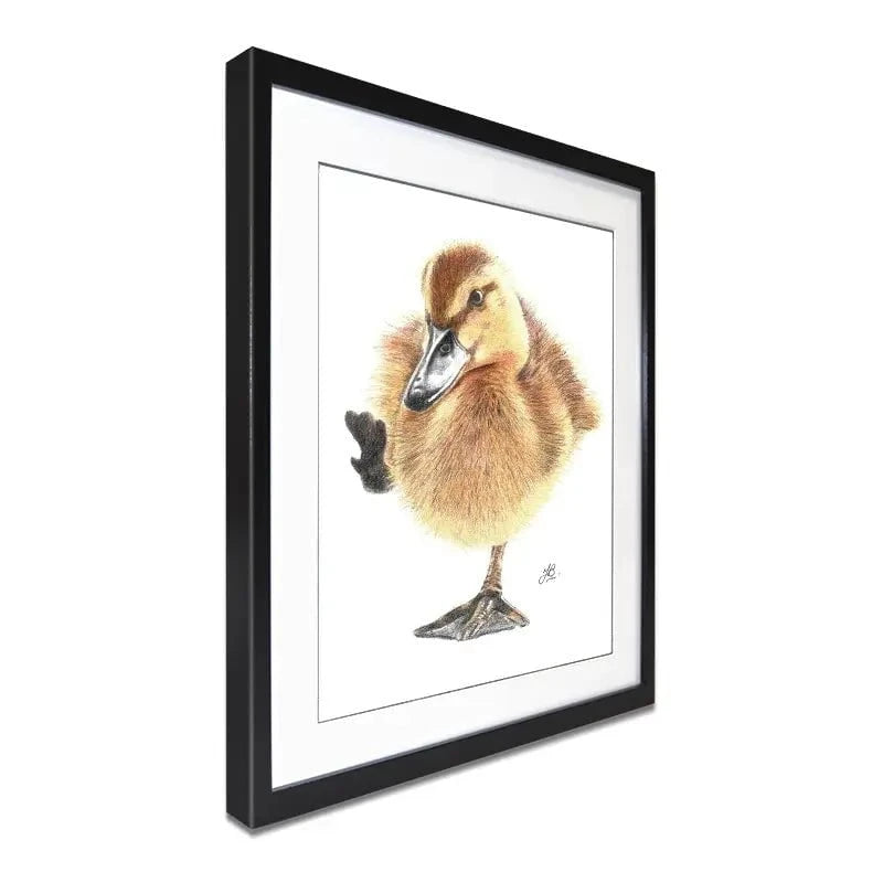 Duck Illustration Framed Art Print Duck Illustration Framed Art Print wall art product Jackie Bridges