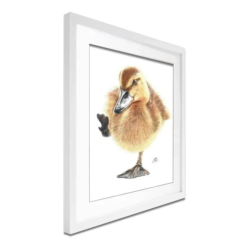 Duck Illustration Framed Art Print Duck Illustration Framed Art Print wall art product Jackie Bridges