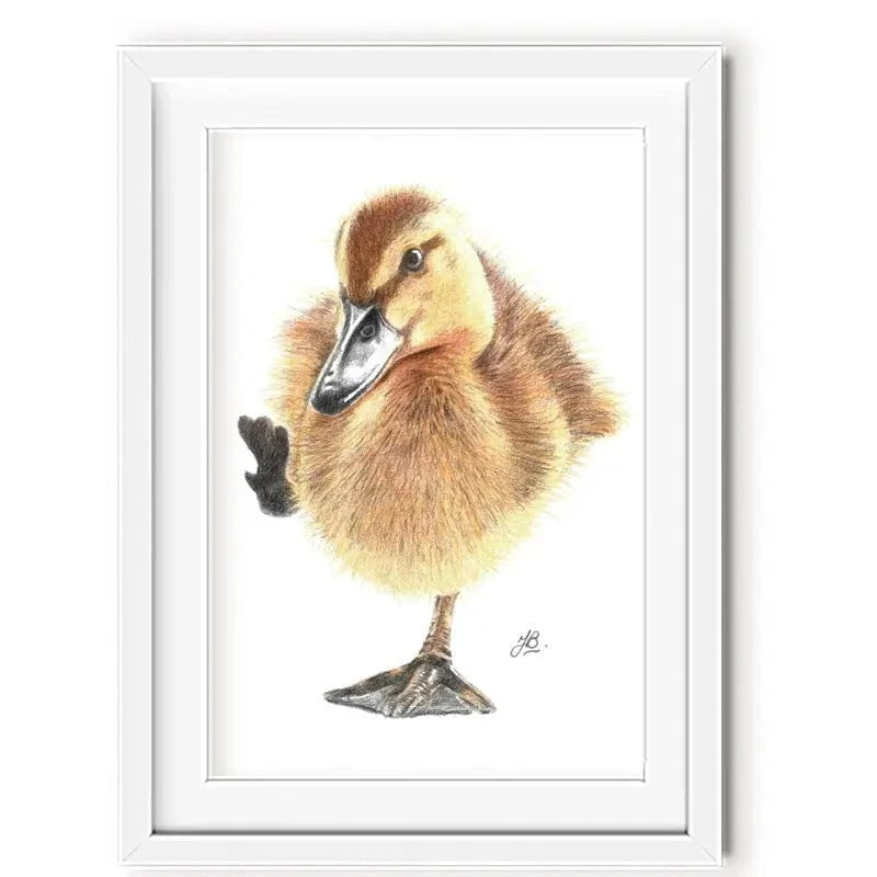 Duck Illustration Framed Art Print Duck Illustration Framed Art Print wall art product Jackie Bridges