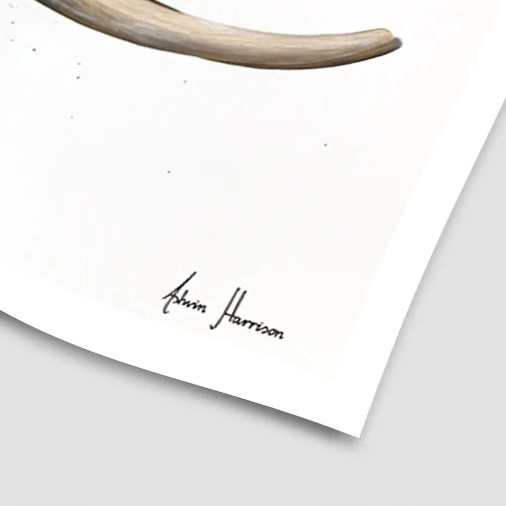 Elephant Elation Art Print Elephant Elation Art Print wall art product Ashvin Harrison