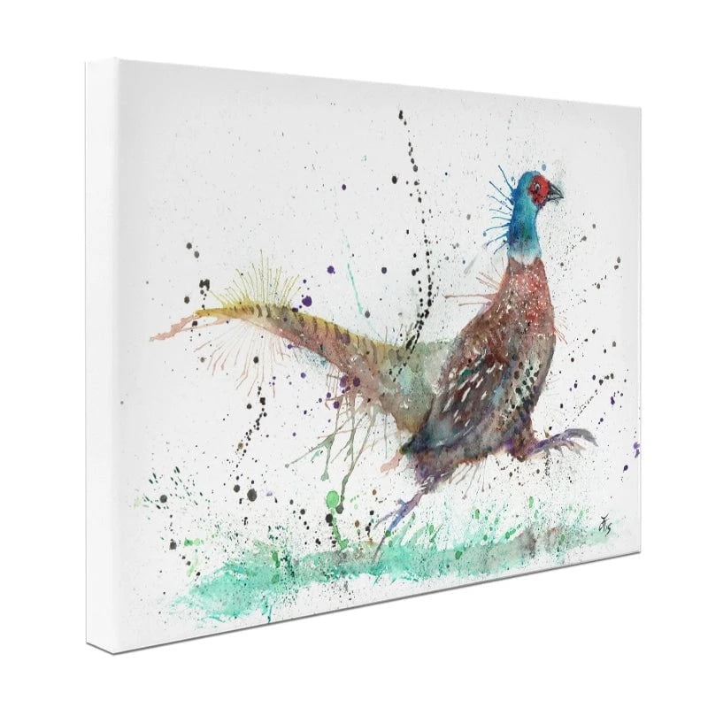 Fez The Pheasant Canvas Print Fez The Pheasant Canvas Print wall art product Jamie Taylor