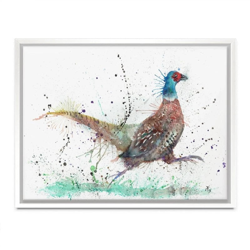 Fez The Pheasant Canvas Print Fez The Pheasant Canvas Print wall art product Jamie Taylor