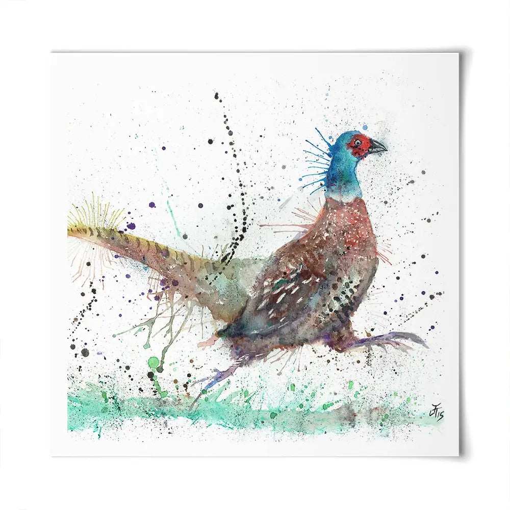 Fez The Pheasant Square Art Print Fez The Pheasant Square Art Print wall art product Jamie Taylor