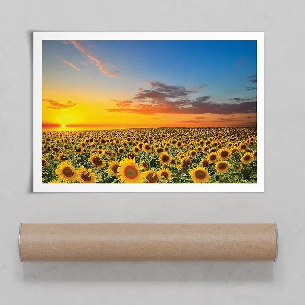 Field Of Blooming Sunflowers Art Print Field Of Blooming Sunflowers Art Print wall art product gornjak / Shutterstock