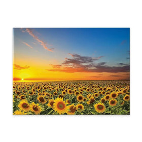 Field Of Blooming Sunflowers Canvas Print Field Of Blooming Sunflowers Canvas Print wall art product gornjak / Shutterstock