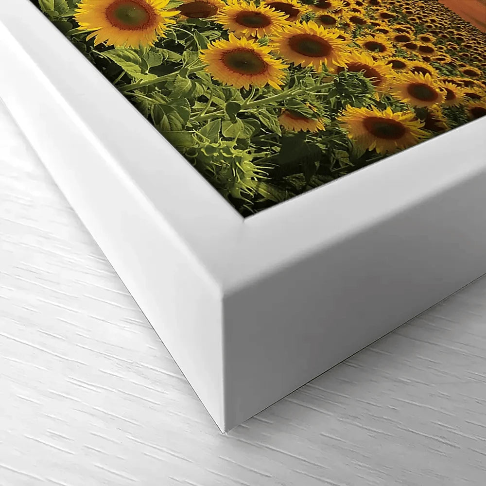 Field Of Blooming Sunflowers Canvas Print Field Of Blooming Sunflowers Canvas Print wall art product gornjak / Shutterstock