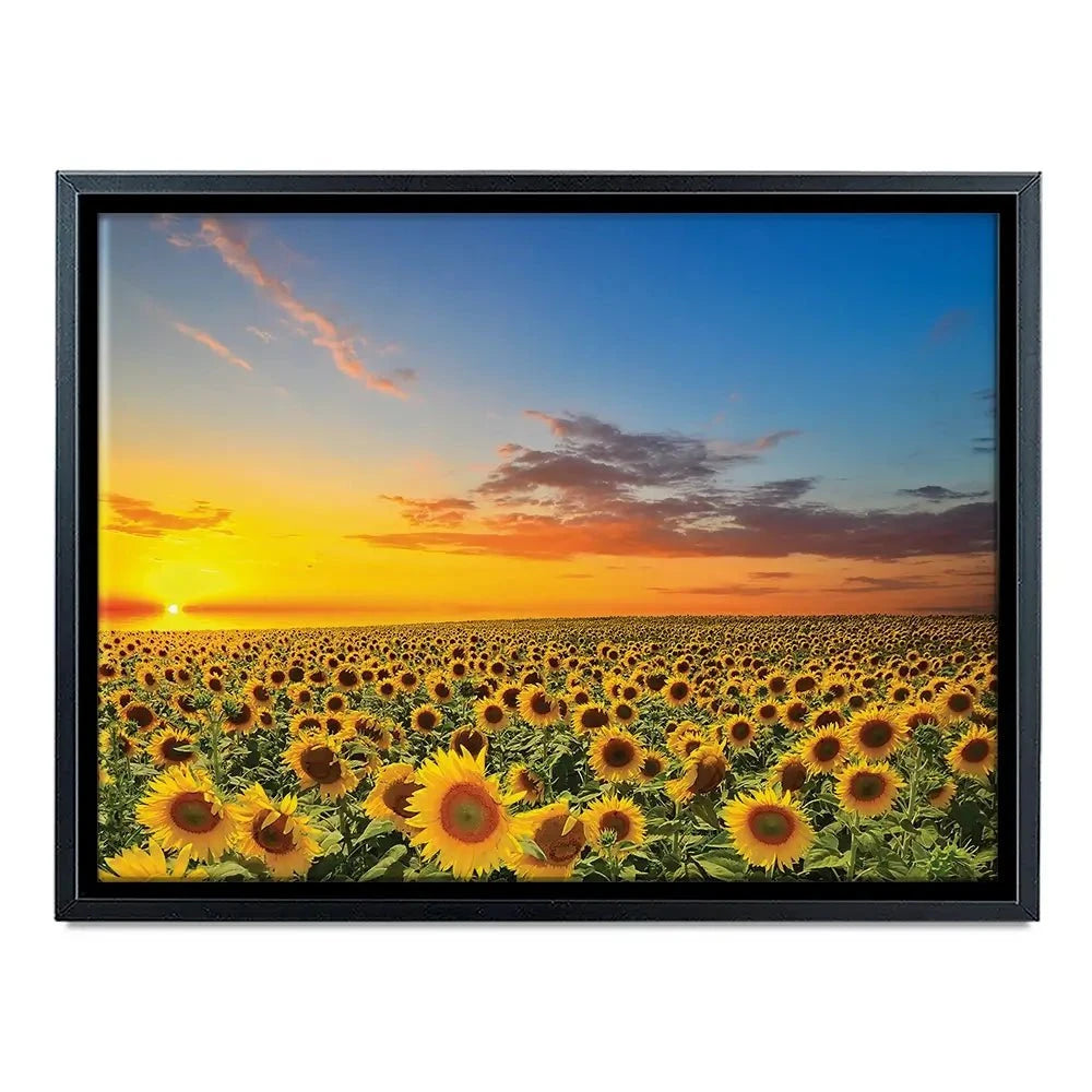 Field Of Blooming Sunflowers Canvas Print Field Of Blooming Sunflowers Canvas Print wall art product gornjak / Shutterstock