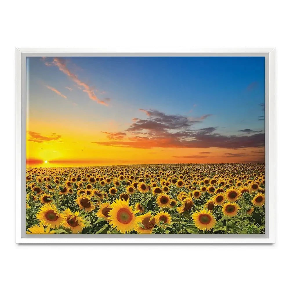 Field Of Blooming Sunflowers Canvas Print Field Of Blooming Sunflowers Canvas Print wall art product gornjak / Shutterstock
