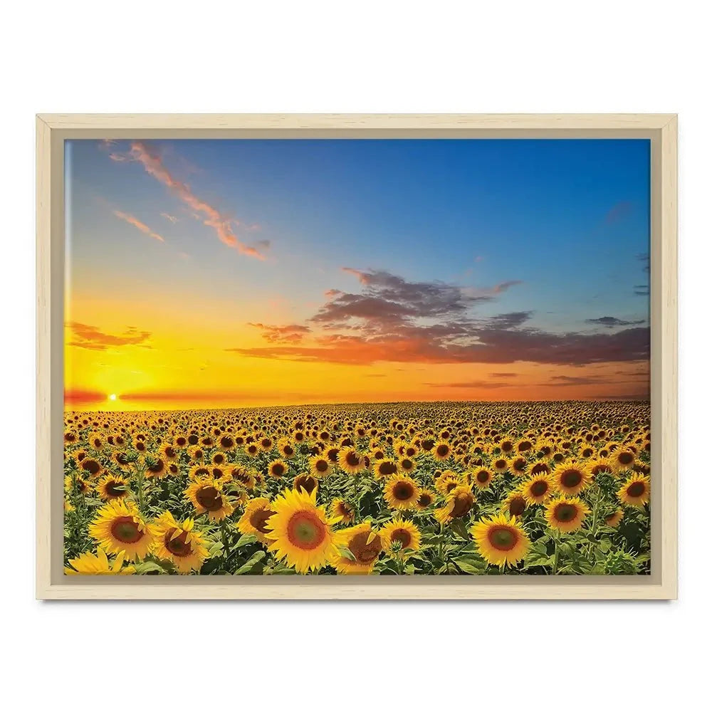 Field Of Blooming Sunflowers Canvas Print Field Of Blooming Sunflowers Canvas Print wall art product gornjak / Shutterstock
