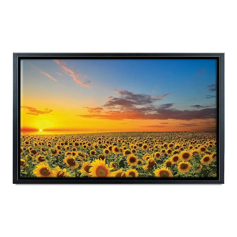 Field Of Blooming Sunflowers Canvas Print Field Of Blooming Sunflowers Canvas Print wall art product gornjak / Shutterstock