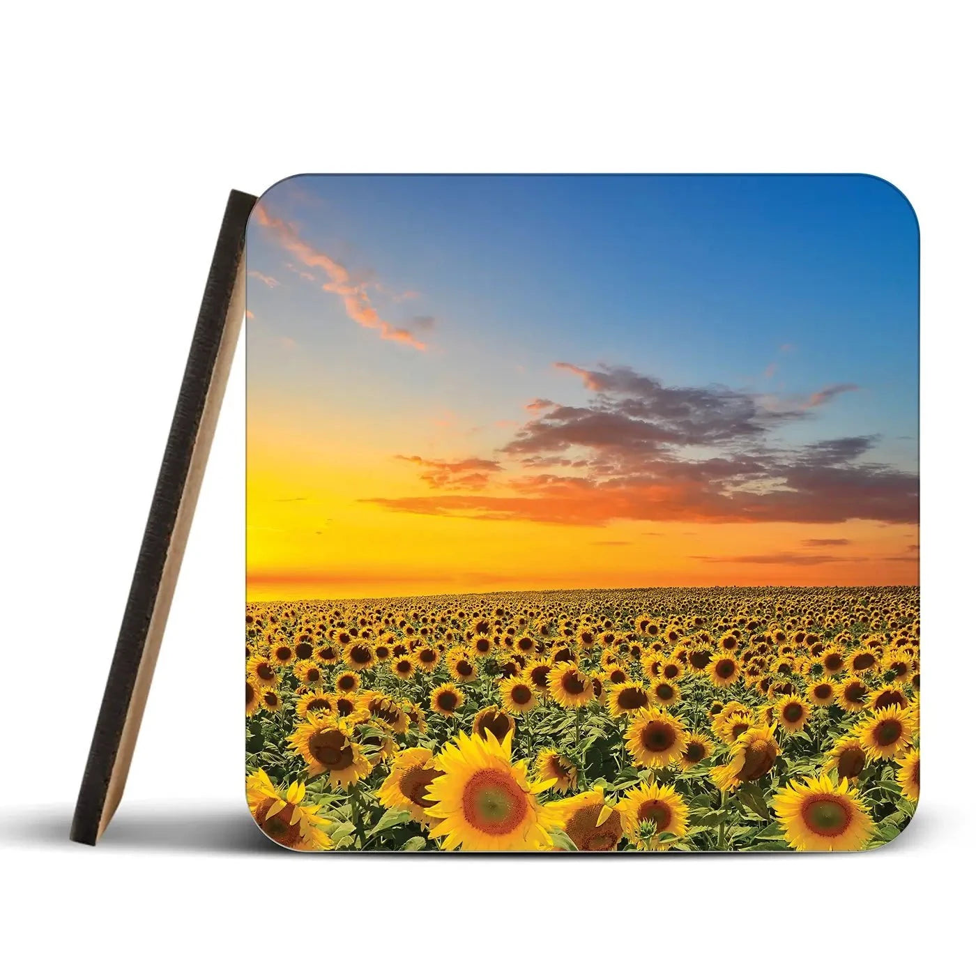 Field Of Blooming Sunflowers Coaster Set Field Of Blooming Sunflowers Coaster Set wall art product gornjak / Shutterstock