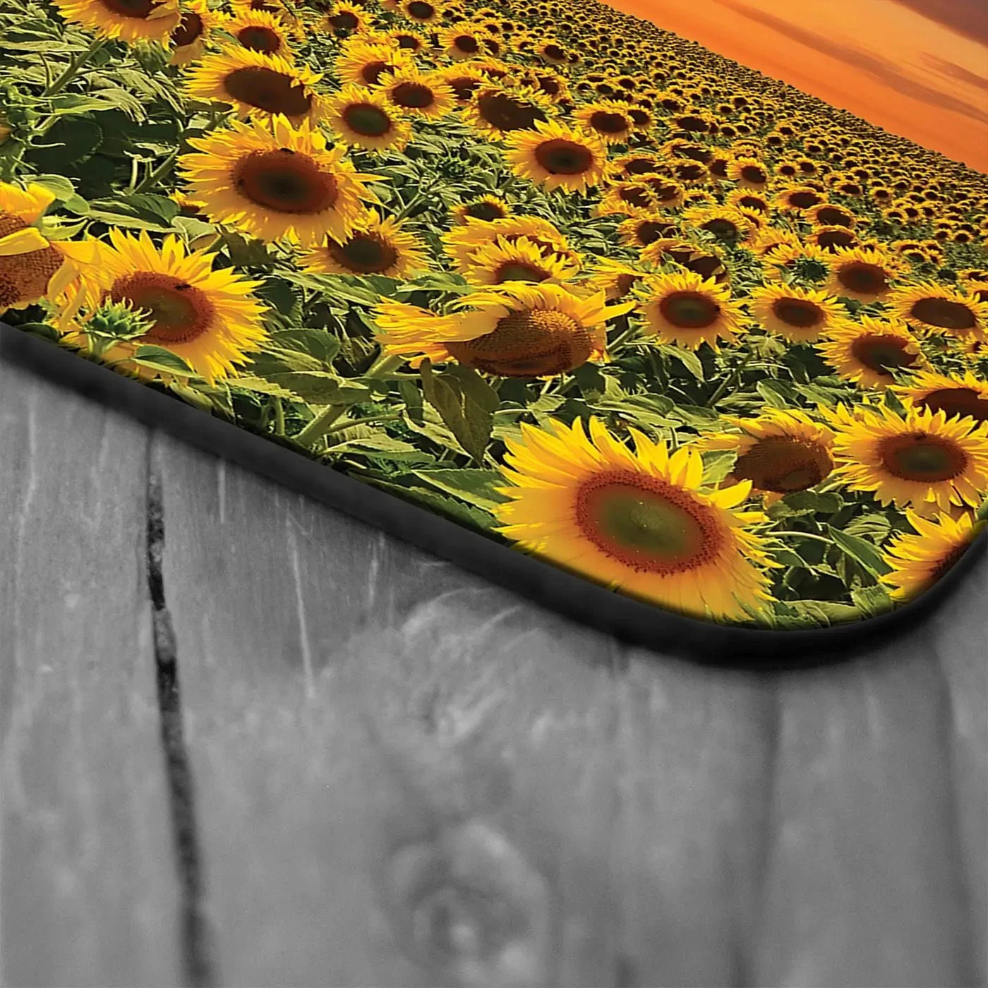 Field Of Blooming Sunflowers Coaster Set Field Of Blooming Sunflowers Coaster Set wall art product gornjak / Shutterstock