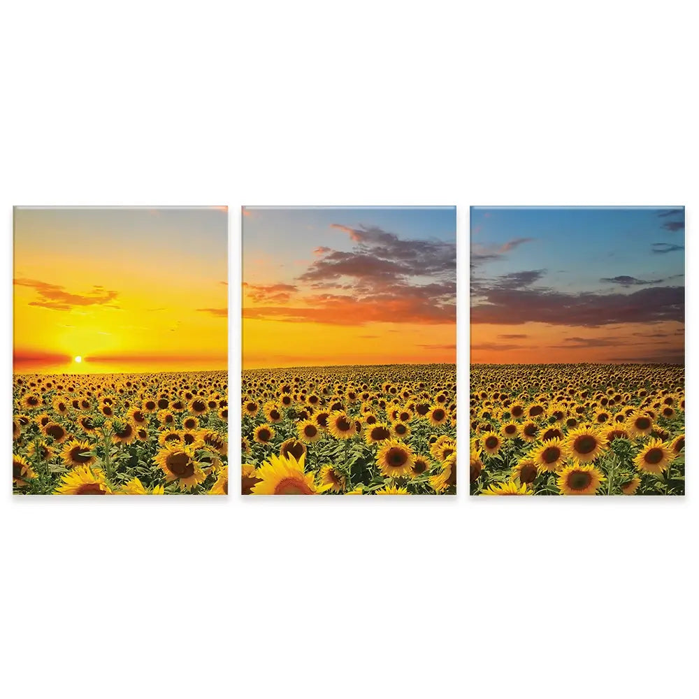 Field Of Blooming Sunflowers Trio Canvas Print Field Of Blooming Sunflowers Trio Canvas Print wall art product gornjak / Shutterstock