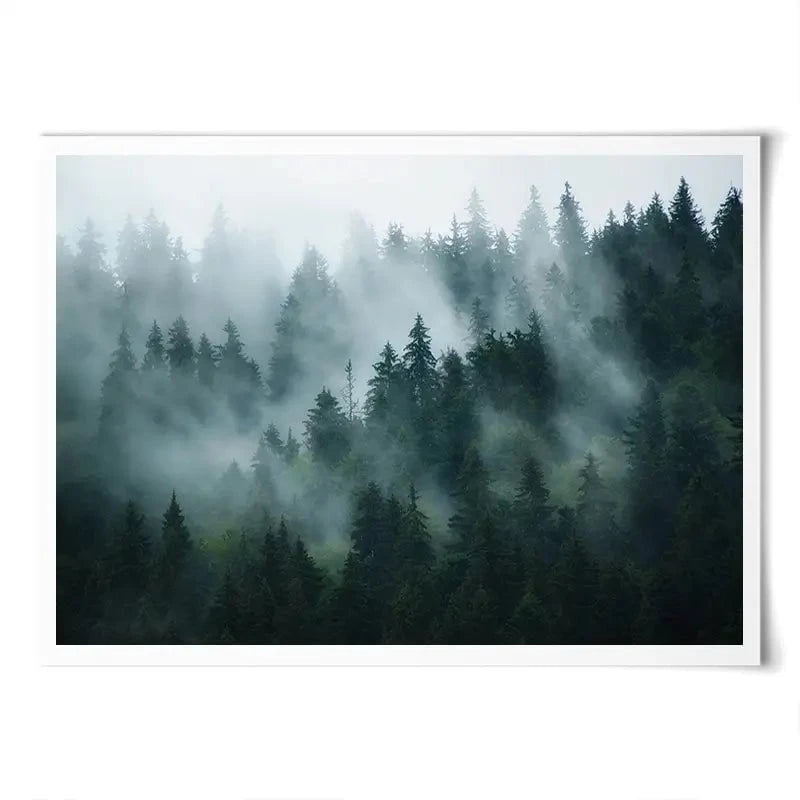 Fir Forest Art Print Fir Forest Art Print wall art product Roxana Bashyrova / Shutterstock