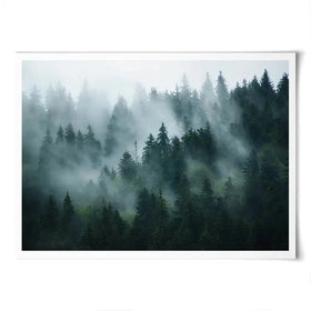 Fir Forest Art Print Fir Forest Art Print wall art product Roxana Bashyrova / Shutterstock