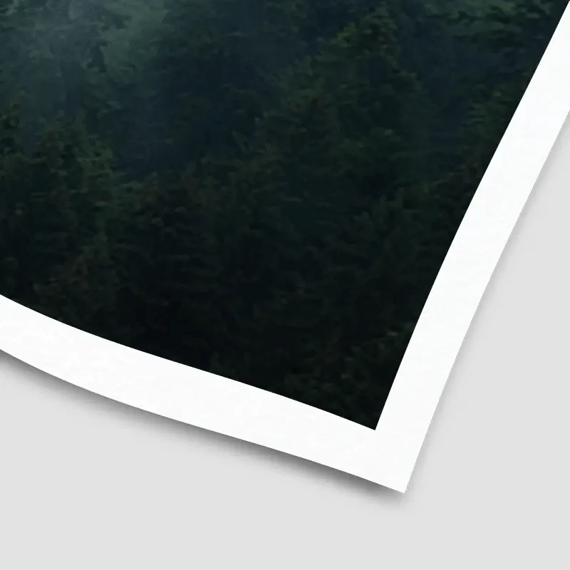 Fir Forest Art Print Fir Forest Art Print wall art product Roxana Bashyrova / Shutterstock