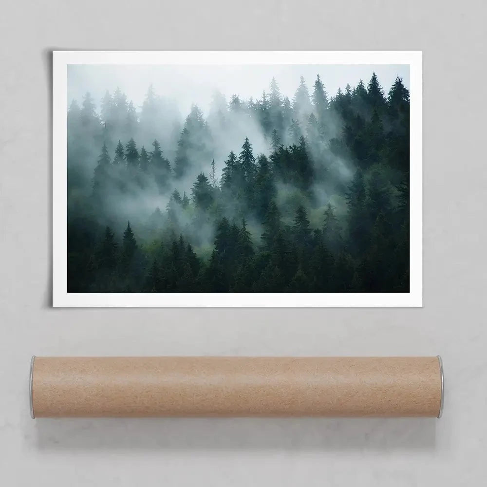 Fir Forest Art Print Fir Forest Art Print wall art product Roxana Bashyrova / Shutterstock