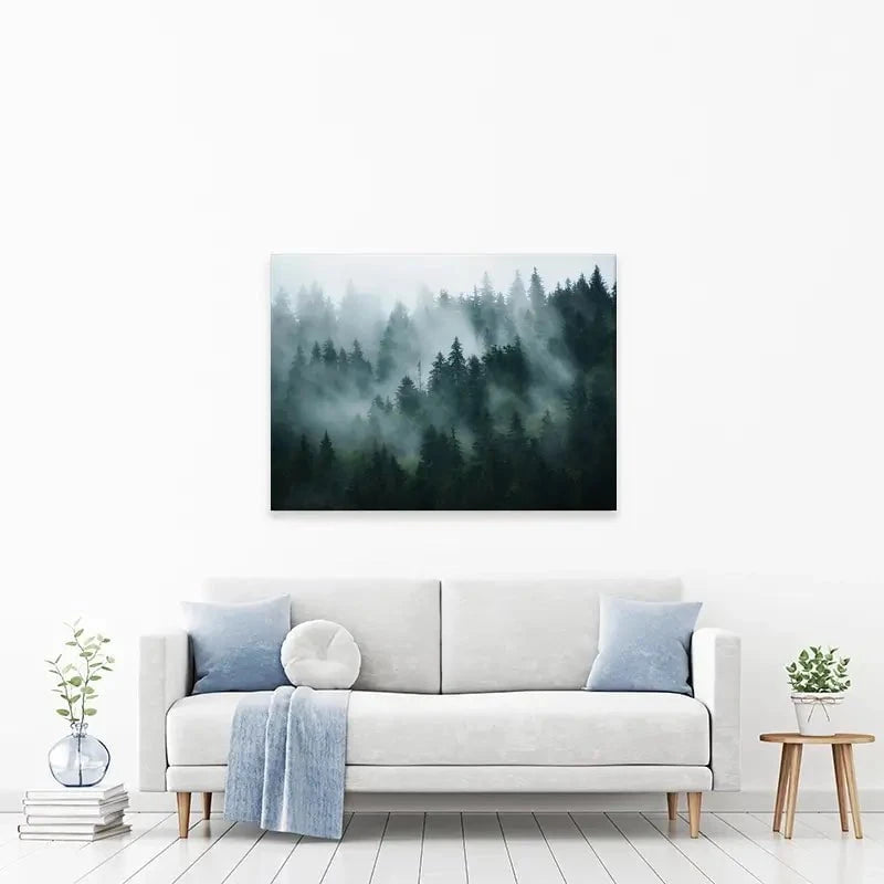 Fir Forest Canvas Print Fir Forest Canvas Print wall art product Roxana Bashyrova / Shutterstock
