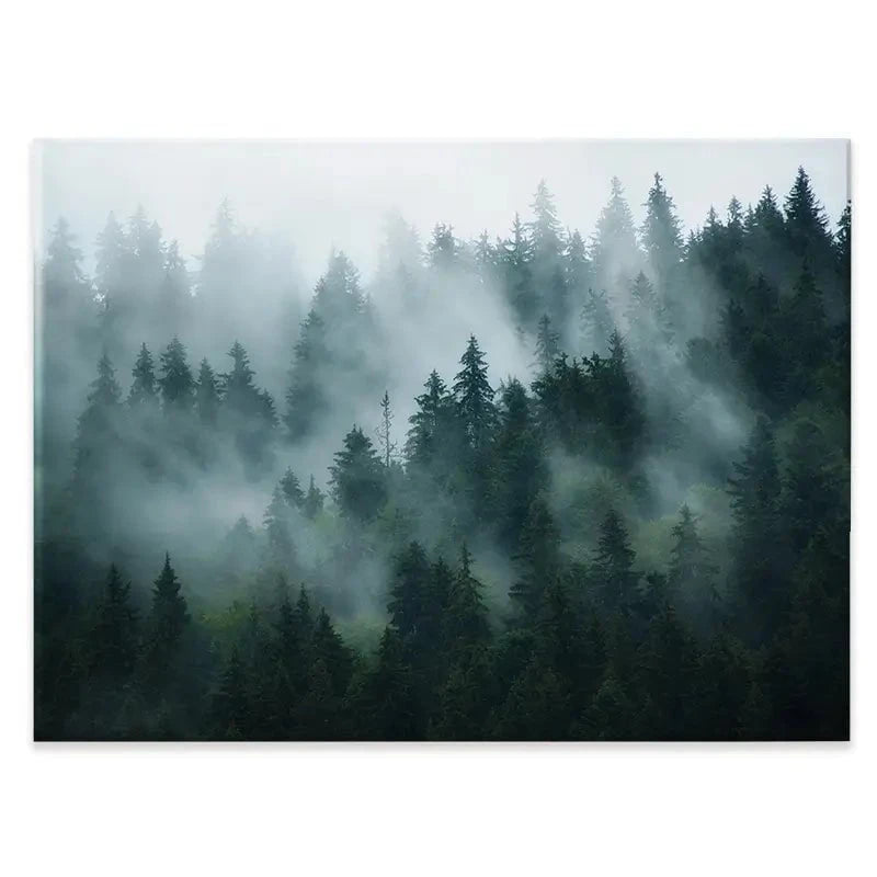 Fir Forest Canvas Print Fir Forest Canvas Print wall art product Roxana Bashyrova / Shutterstock