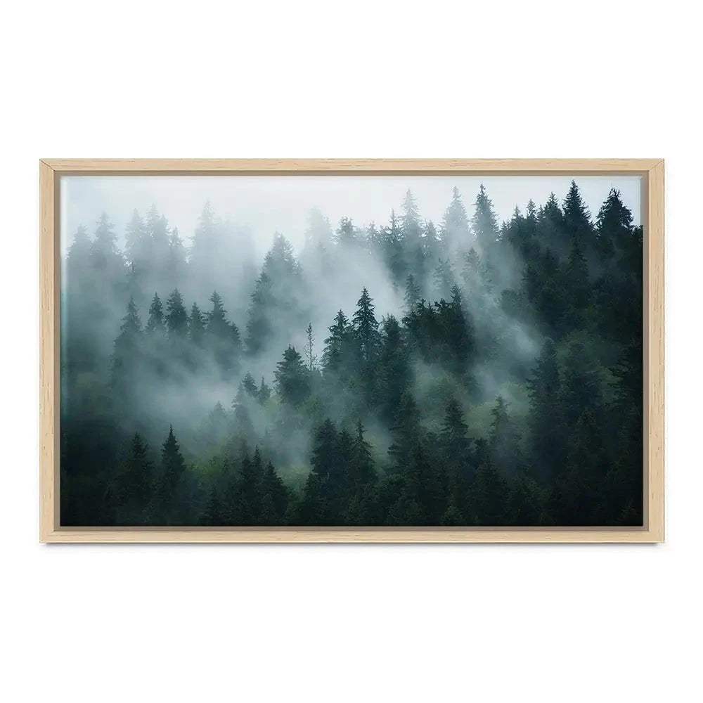 Fir Forest Canvas Print Fir Forest Canvas Print wall art product Roxana Bashyrova / Shutterstock