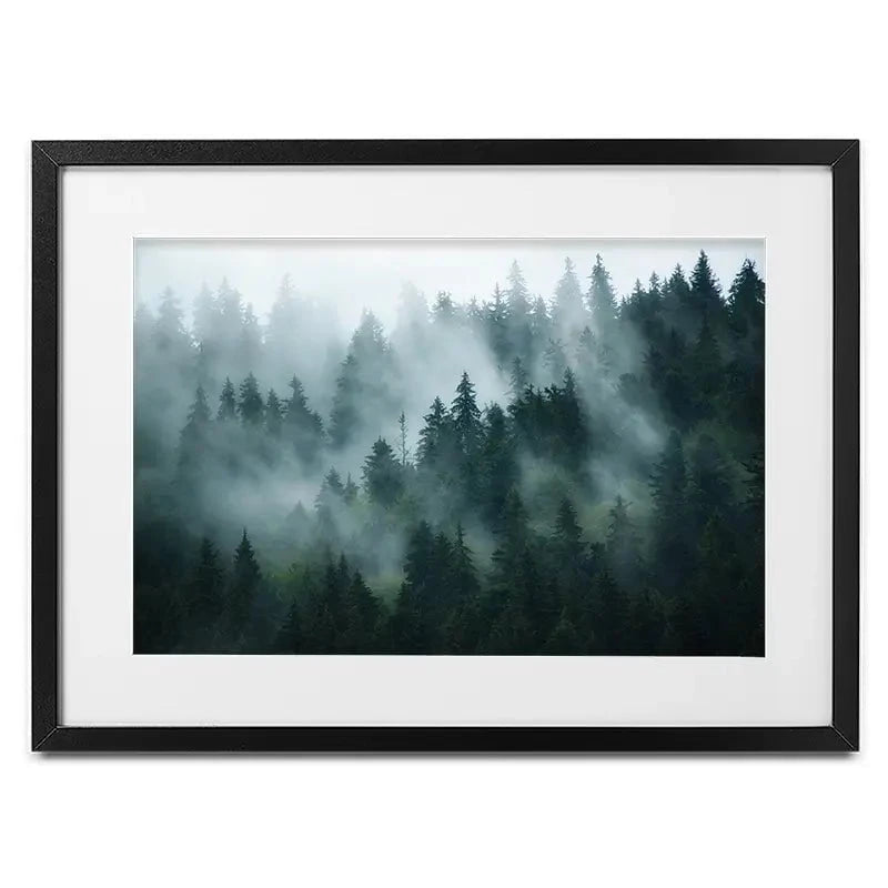 Fir Forest Framed Art Print Fir Forest Framed Art Print wall art product Roxana Bashyrova / Shutterstock