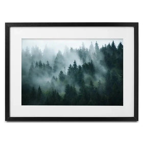 Fir Forest Framed Art Print Fir Forest Framed Art Print wall art product Roxana Bashyrova / Shutterstock