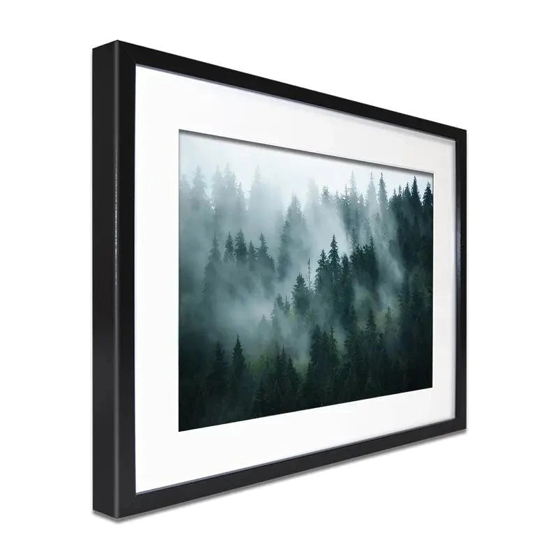 Fir Forest Framed Art Print Fir Forest Framed Art Print wall art product Roxana Bashyrova / Shutterstock