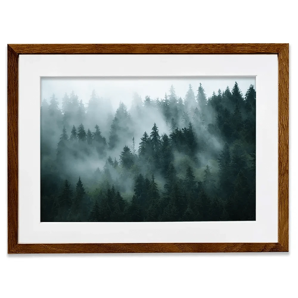 Fir Forest Framed Art Print Fir Forest Framed Art Print wall art product Roxana Bashyrova / Shutterstock