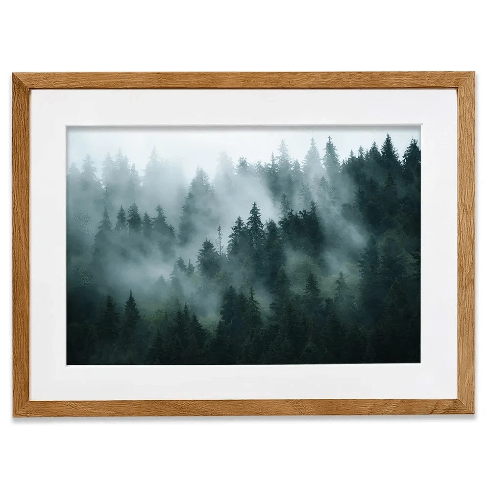 Fir Forest Framed Art Print Fir Forest Framed Art Print wall art product Roxana Bashyrova / Shutterstock