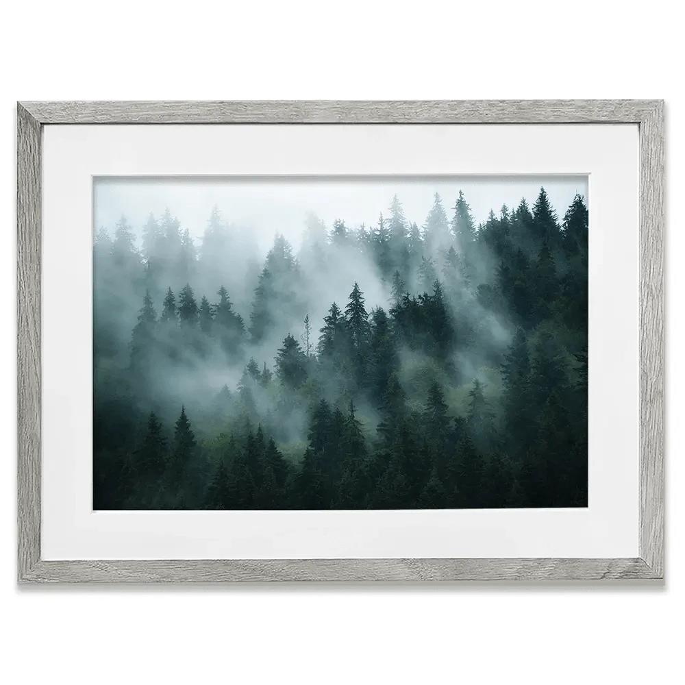 Fir Forest Framed Art Print Fir Forest Framed Art Print wall art product Roxana Bashyrova / Shutterstock