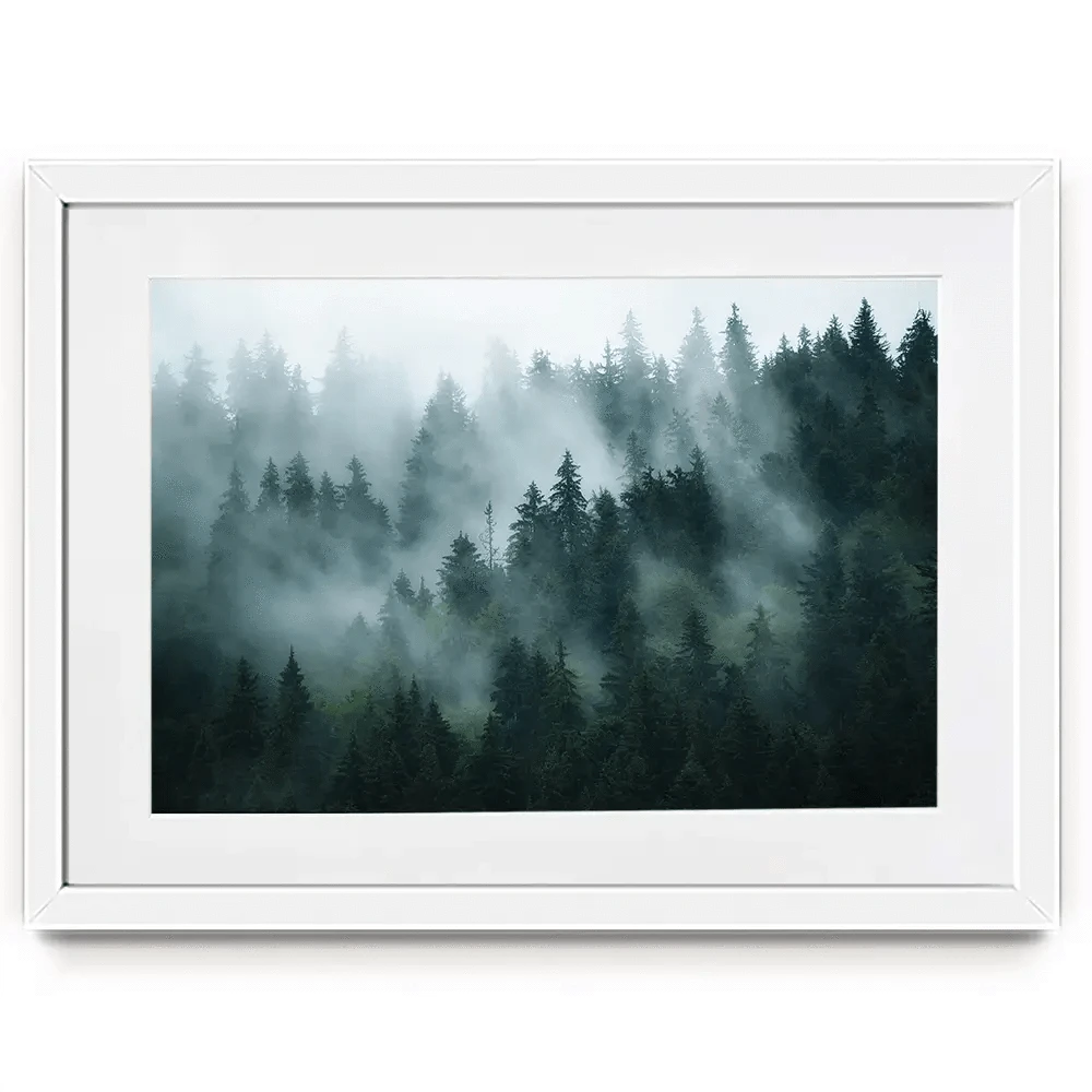 Fir Forest Framed Art Print Fir Forest Framed Art Print wall art product Roxana Bashyrova / Shutterstock