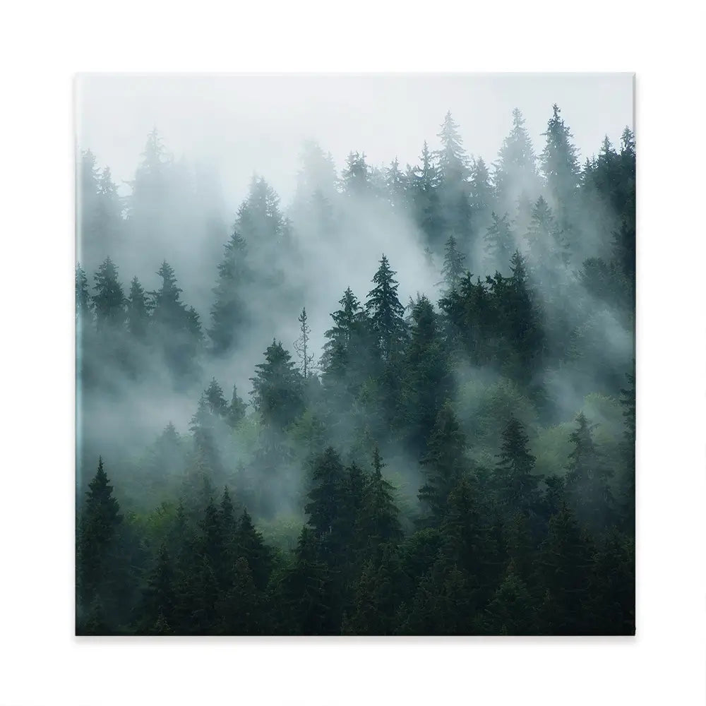 Fir Forest Square Canvas Print Fir Forest Square Canvas Print wall art product Roxana Bashyrova / Shutterstock