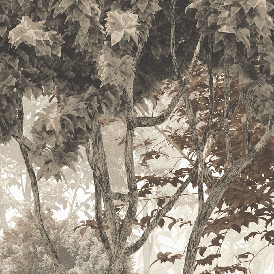 Forest Mural Art Print wall art product fotooboi_kld / Shutterstock