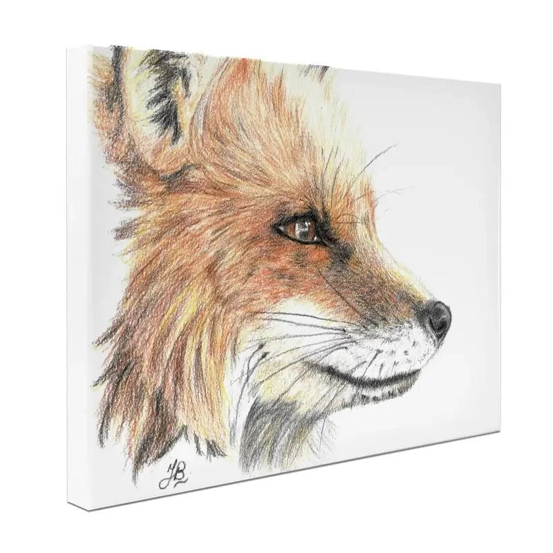 Fox Illustration Canvas Print Fox Illustration Canvas Print wall art product Jackie Bridges
