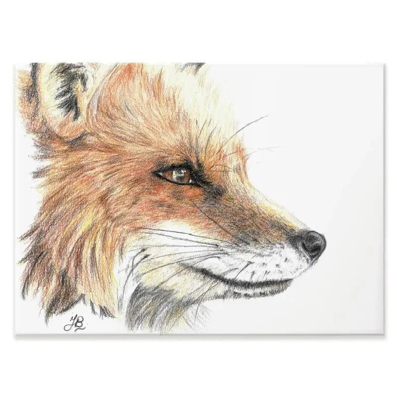 Fox Illustration Canvas Print Fox Illustration Canvas Print wall art product Jackie Bridges