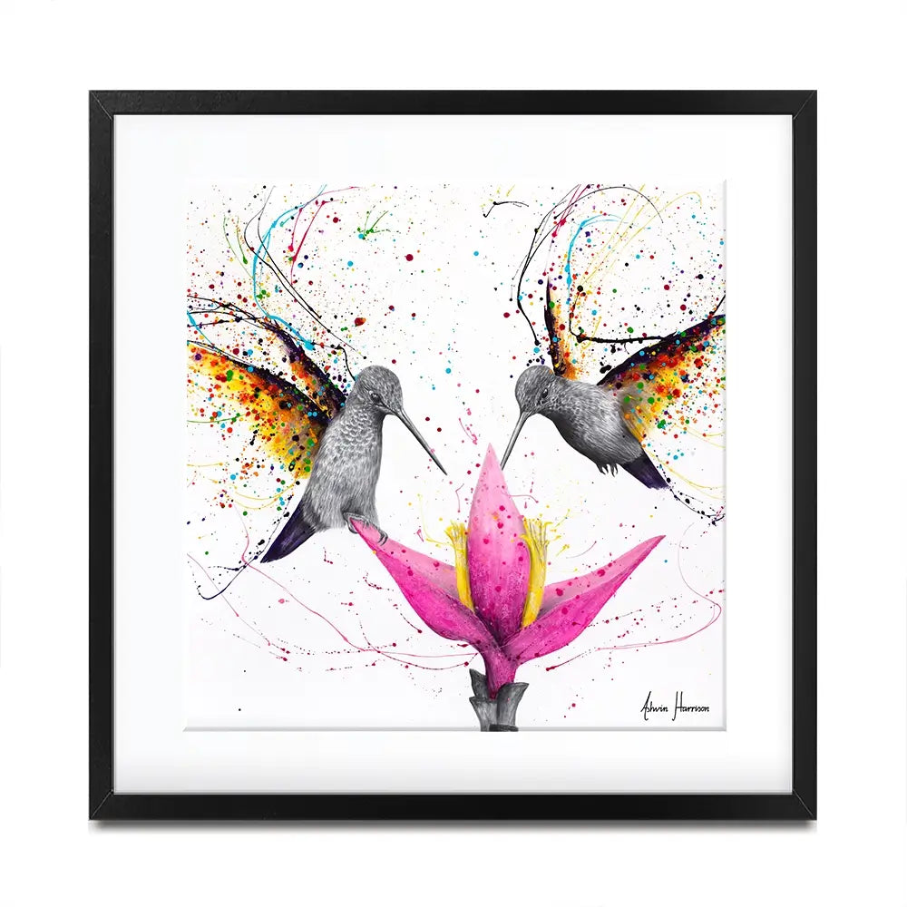 Friendship Hummingbirds Square Framed Art Print Friendship Hummingbirds Square Framed Art Print wall art product Ashvin Harrison
