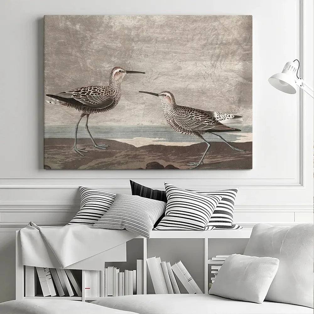 Gilded Sandpipers Canvas Print Gilded Sandpipers Canvas Print wall art product John James Audubon