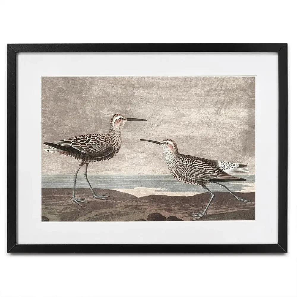 Gilded Sandpipers Framed Art Print Gilded Sandpipers Framed Art Print wall art product John James Audubon